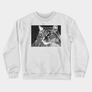 SPICE Crewneck Sweatshirt